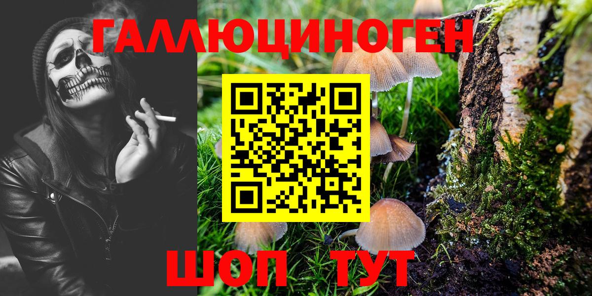 Псилоцибиновые грибы прущие грибы Орск